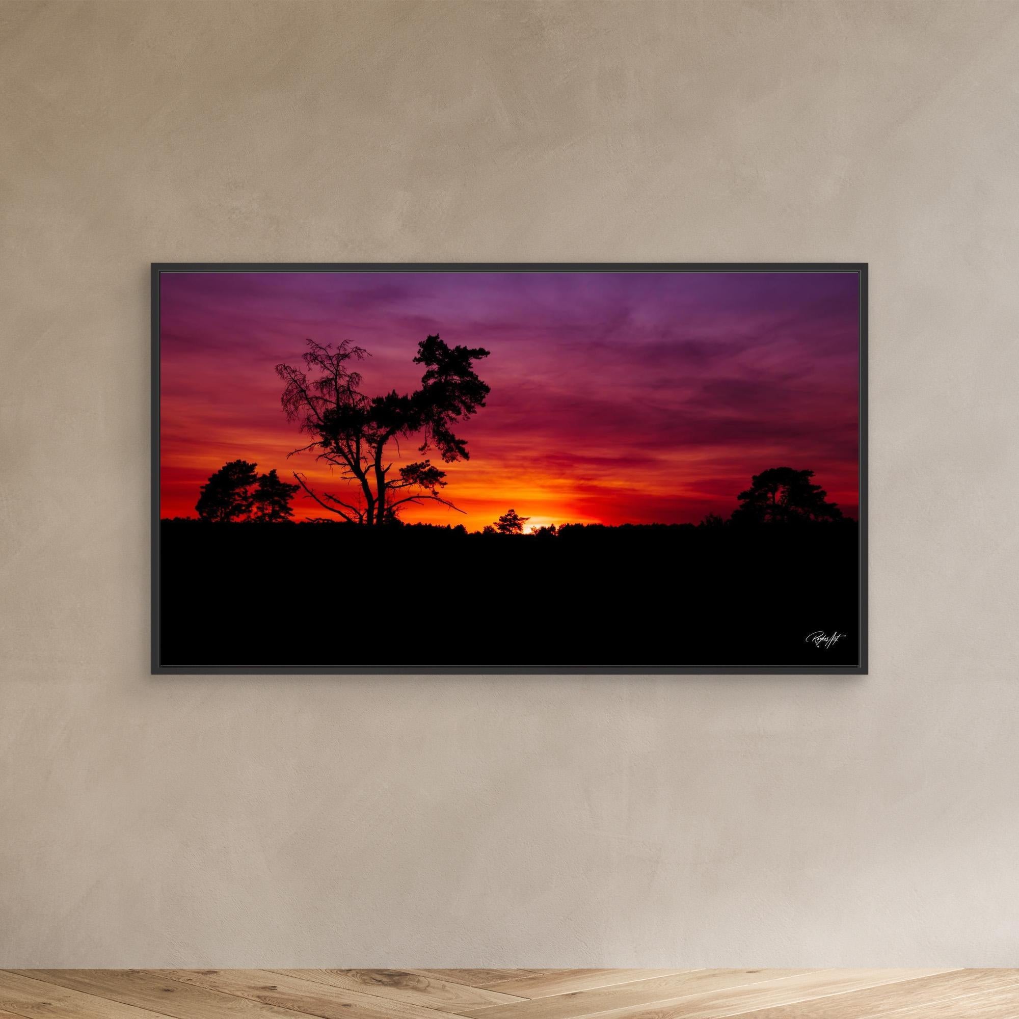 Sunset Silhouette Vibes