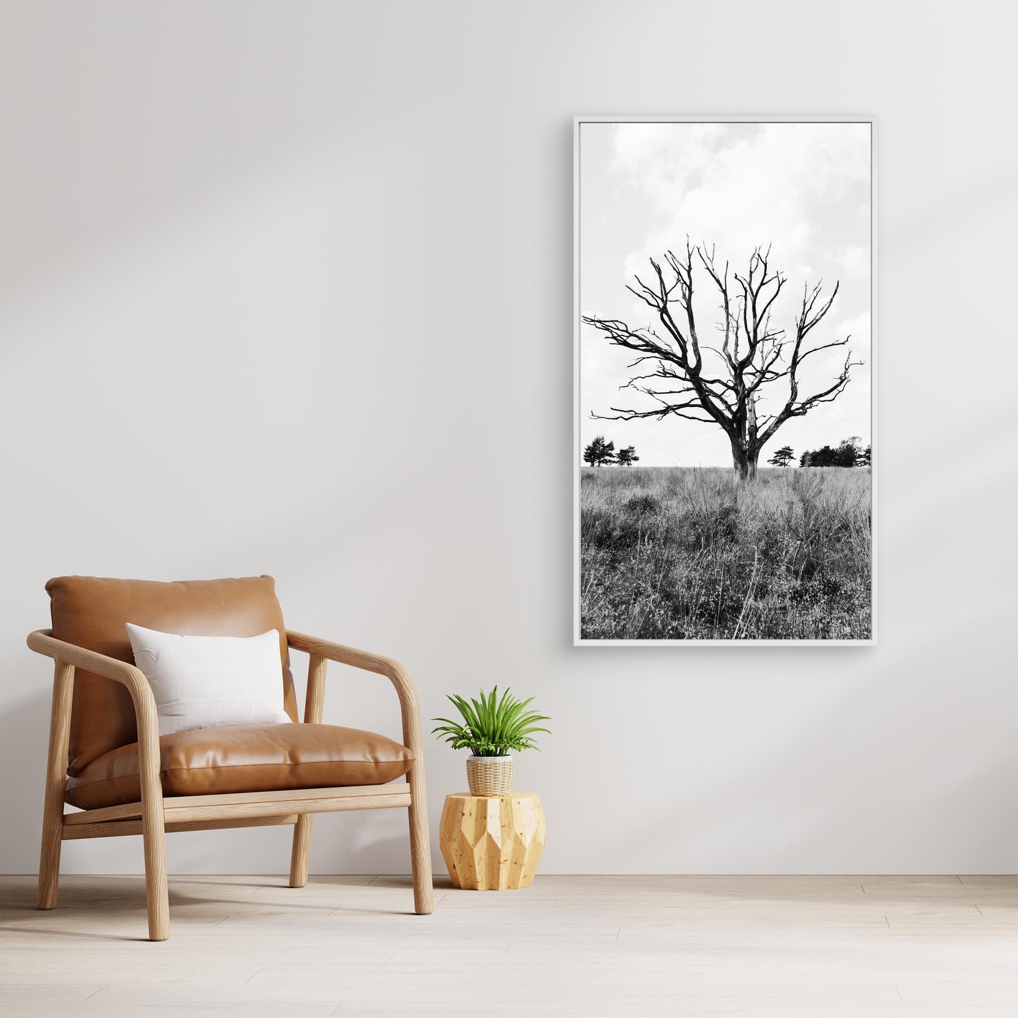 Resilient Intersection