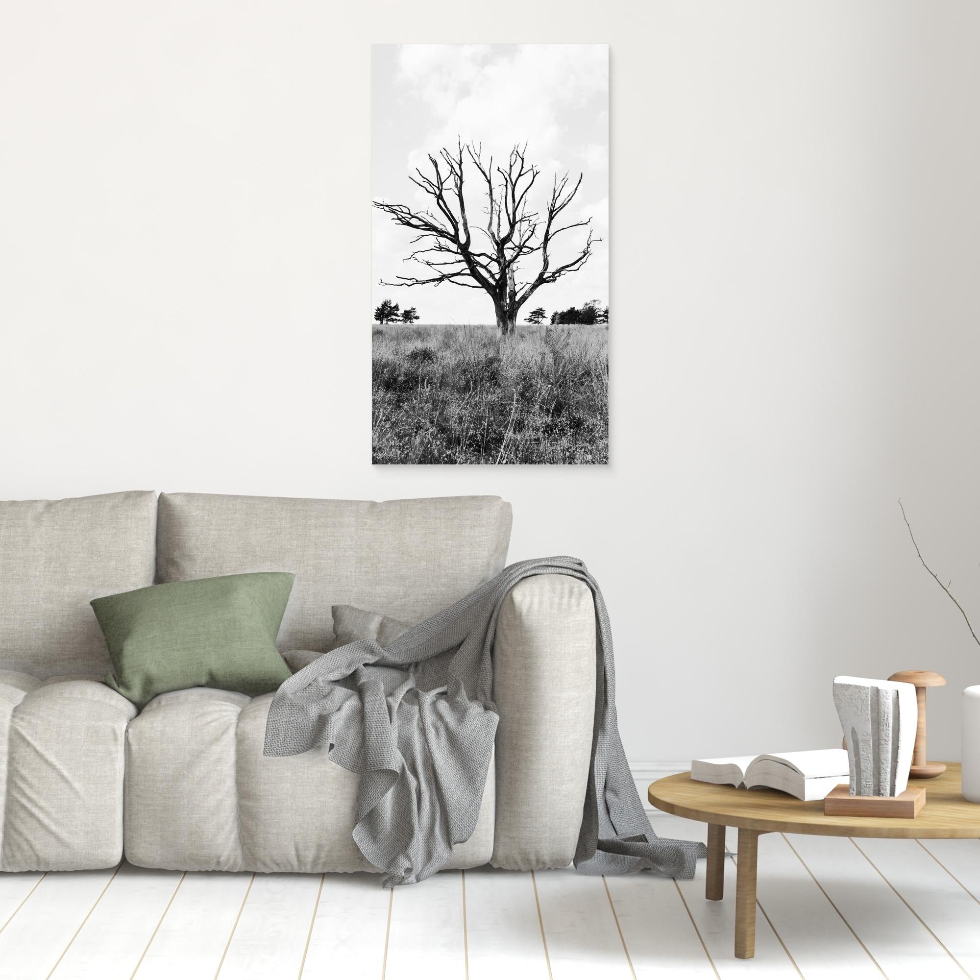 Resilient Intersection