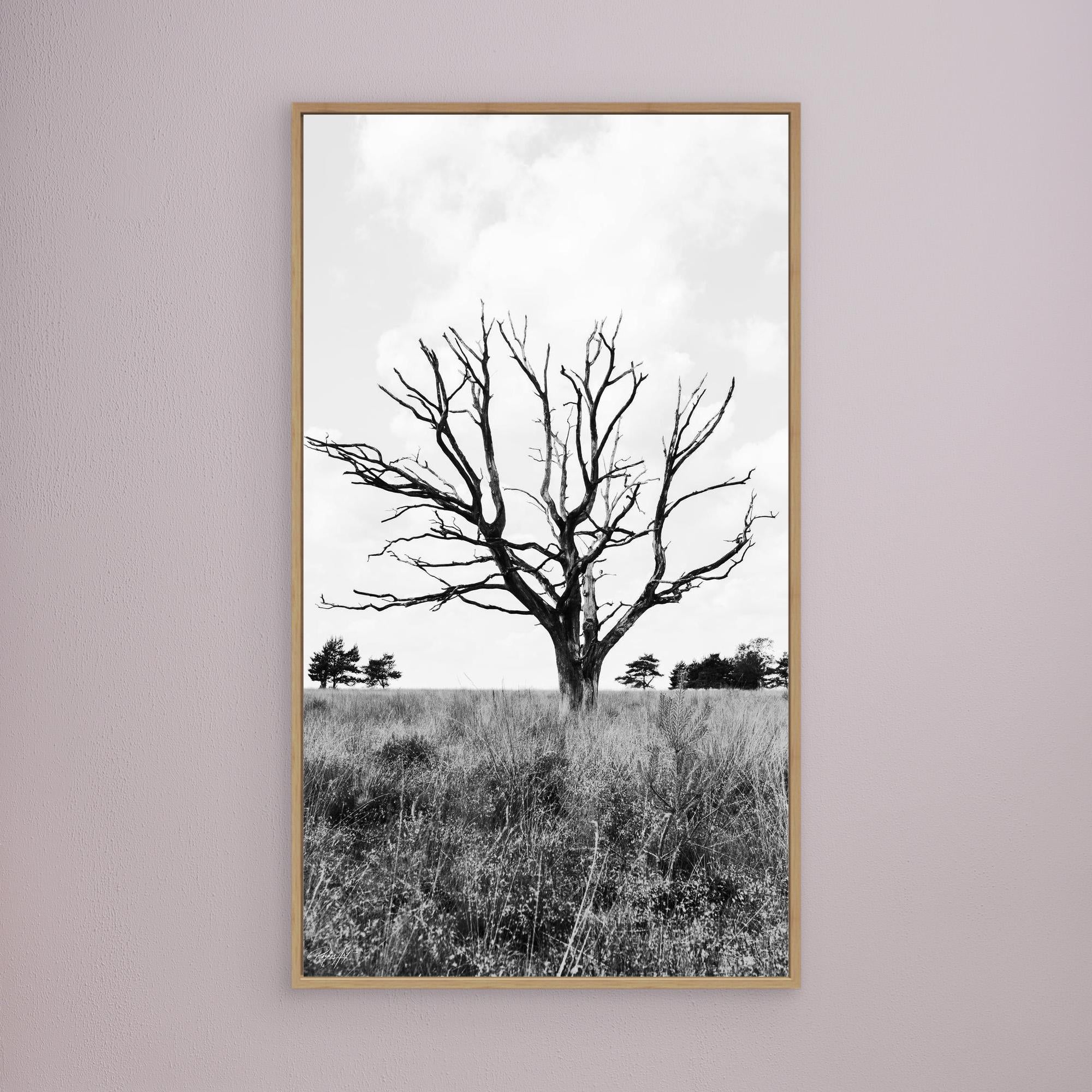 Resilient Intersection