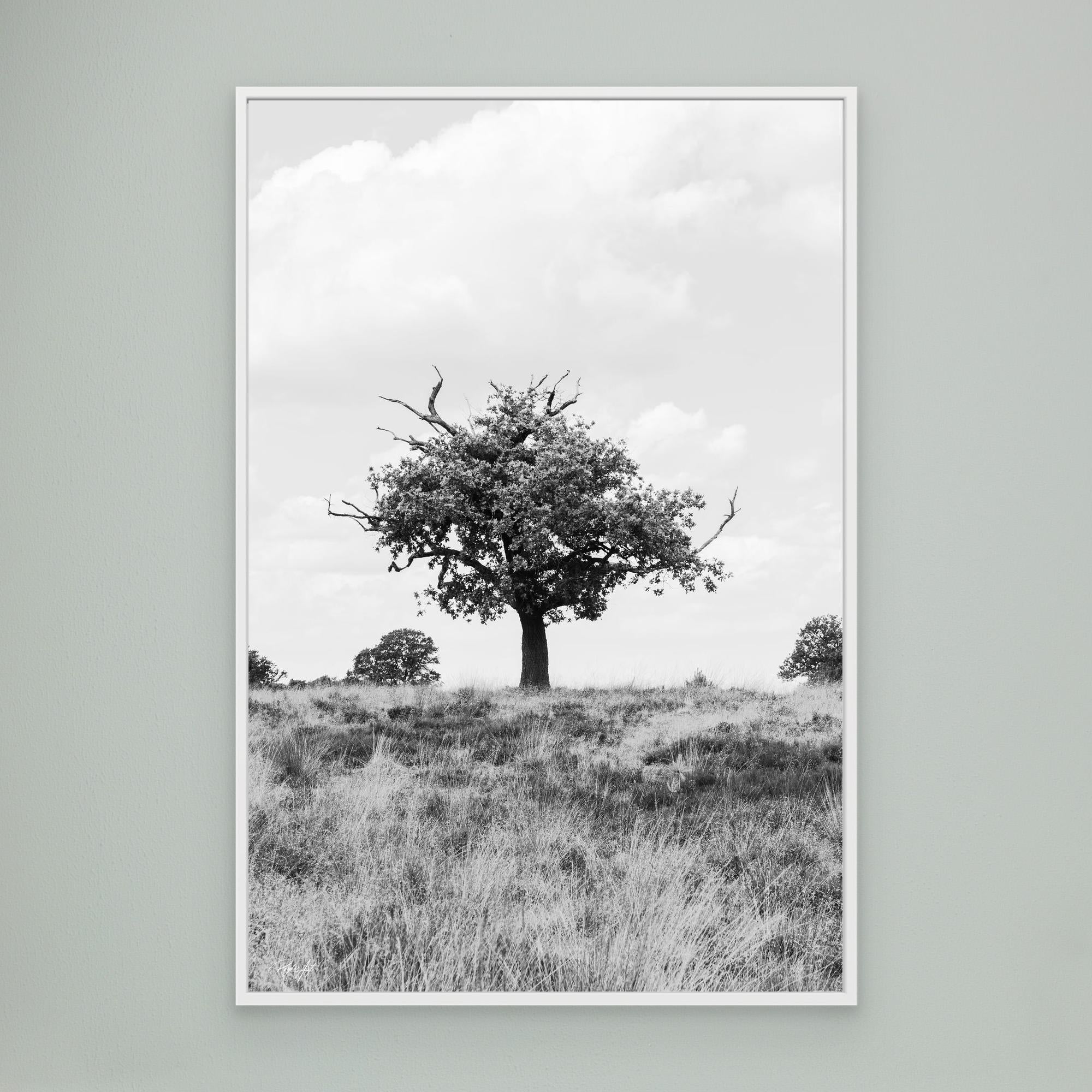 What doesn_t kill you