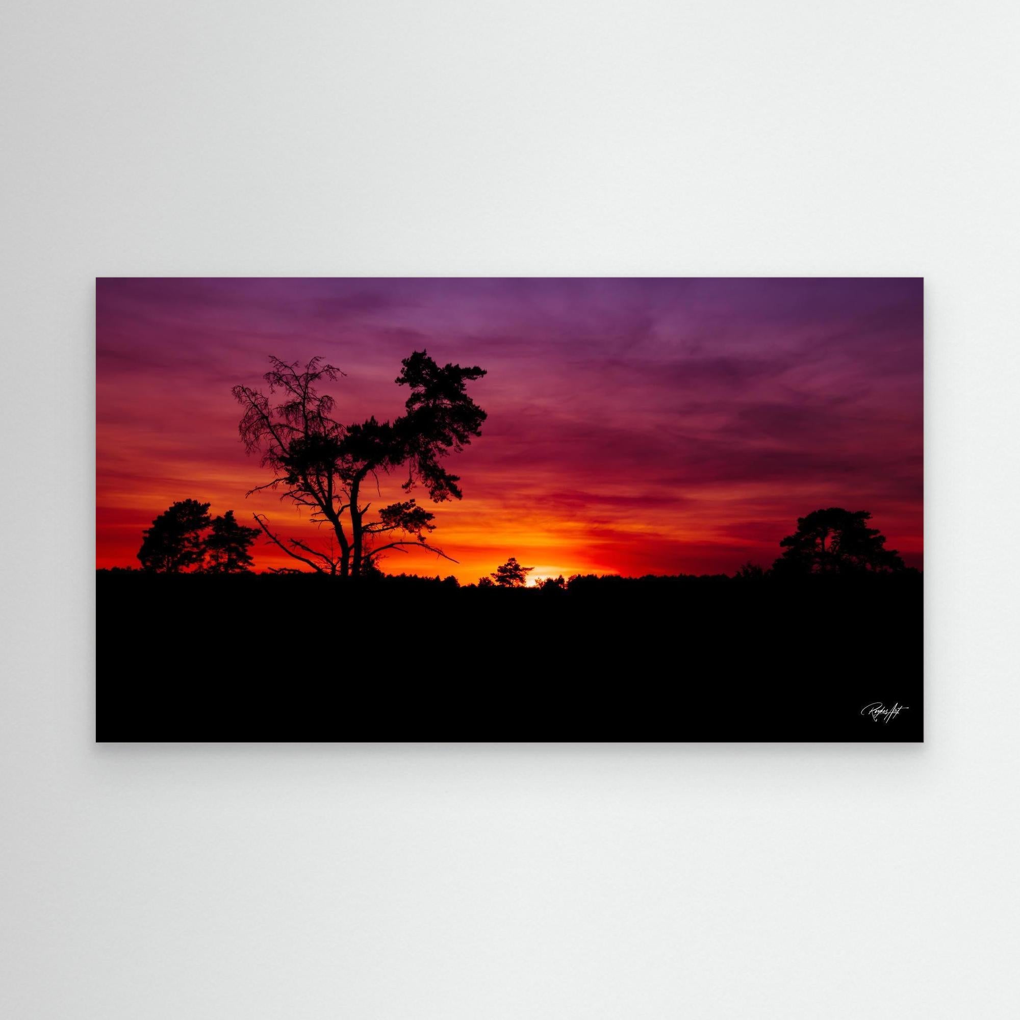 Sunset Silhouette Vibes