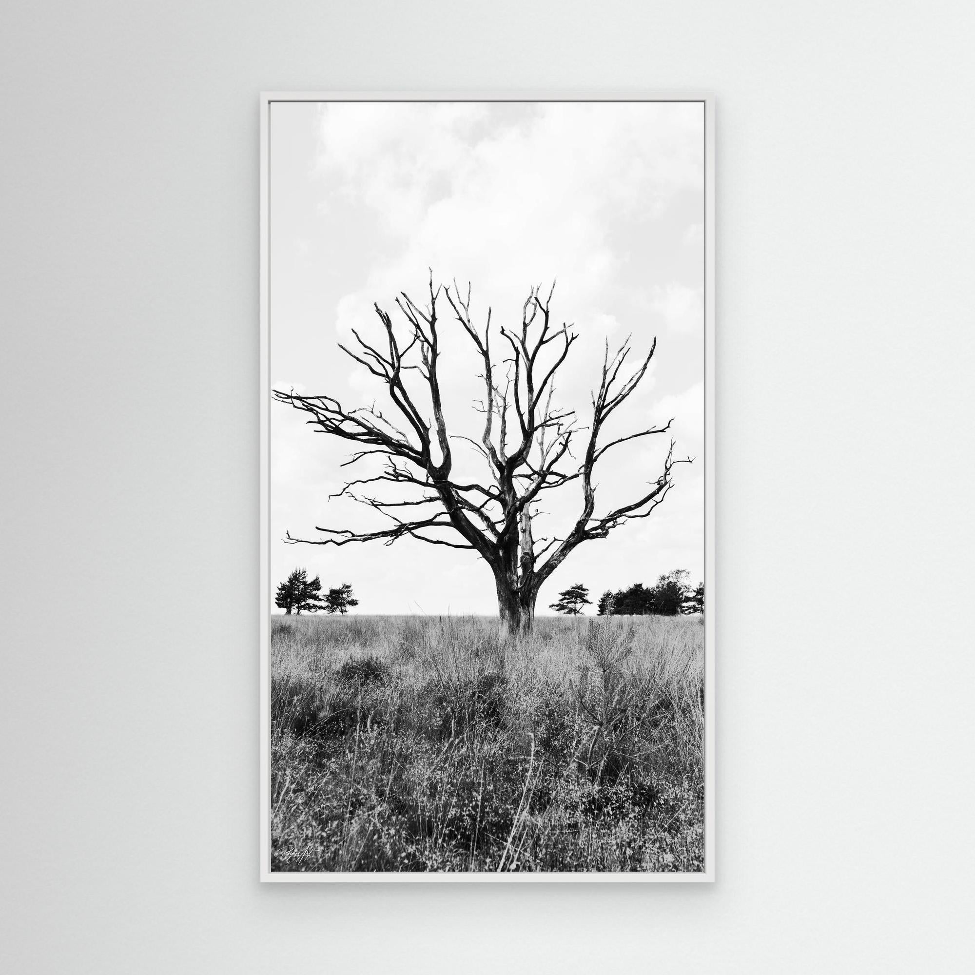 Resilient Intersection