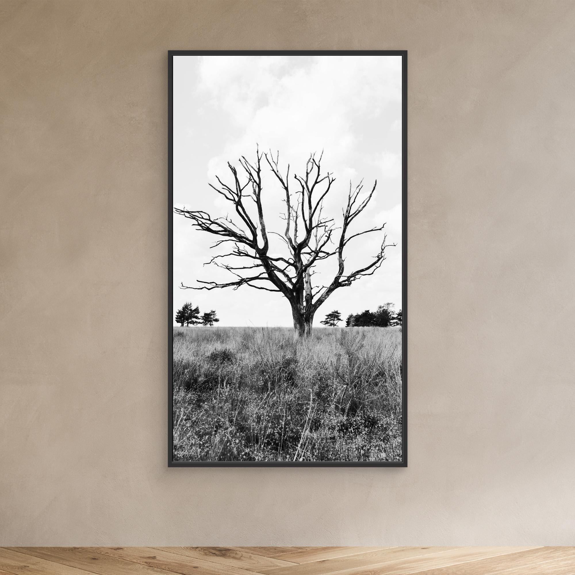 Resilient Intersection