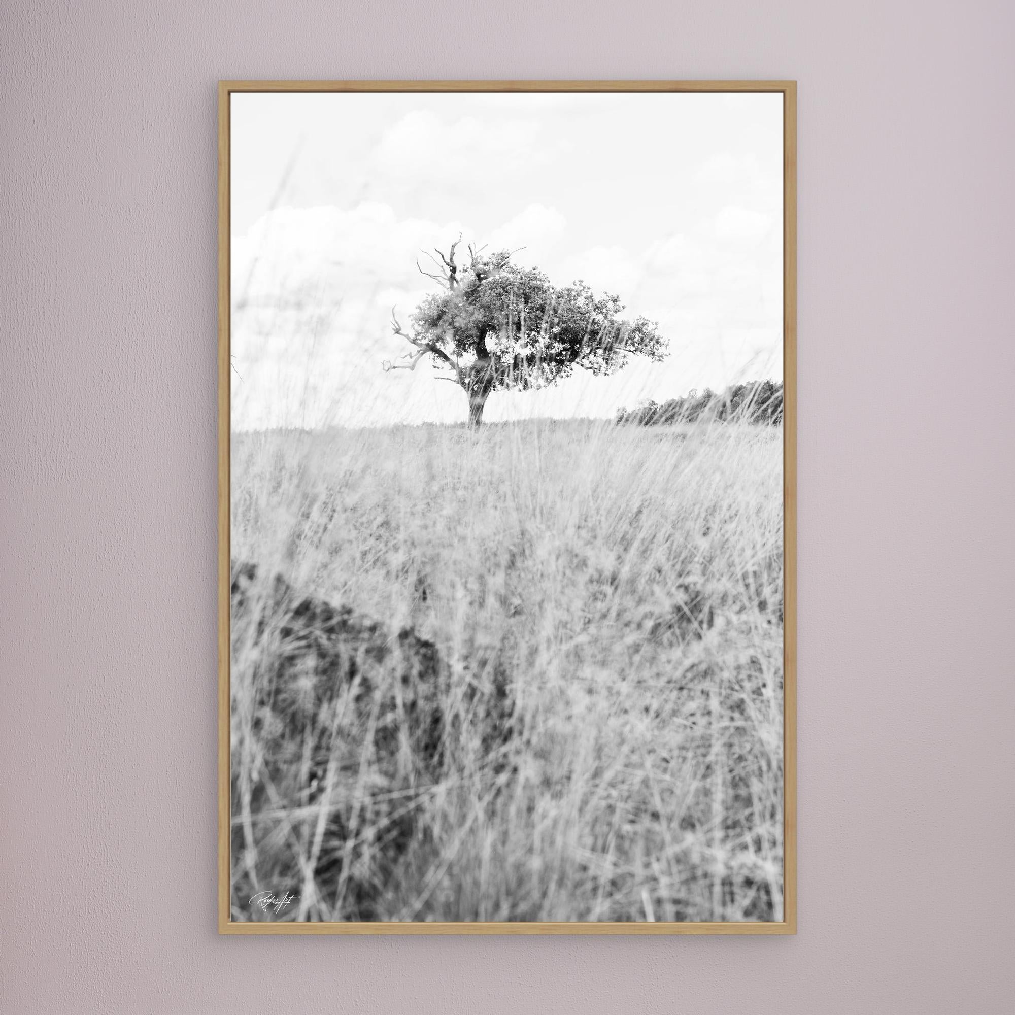 Memories Carved in Bark