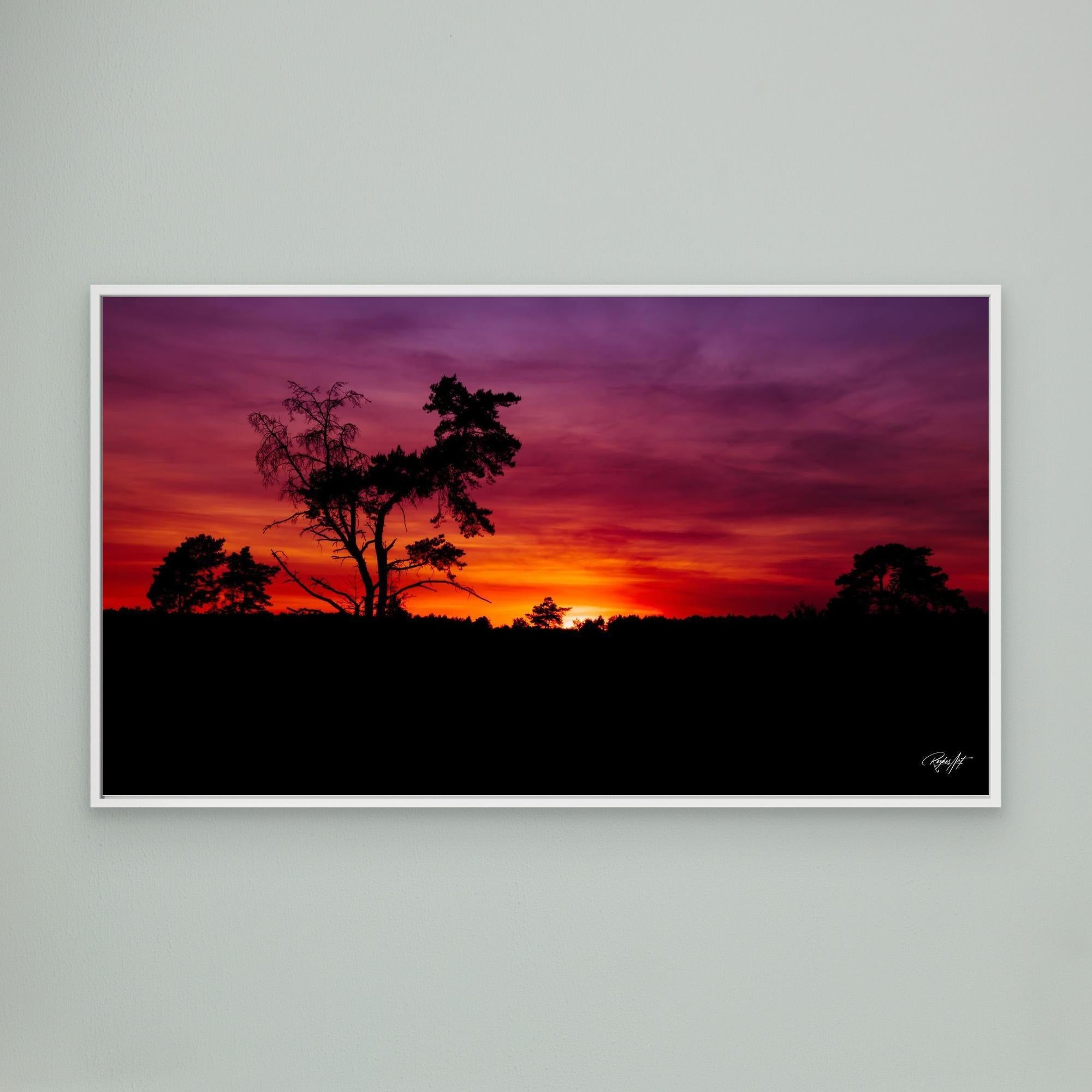 Sunset Silhouette Vibes