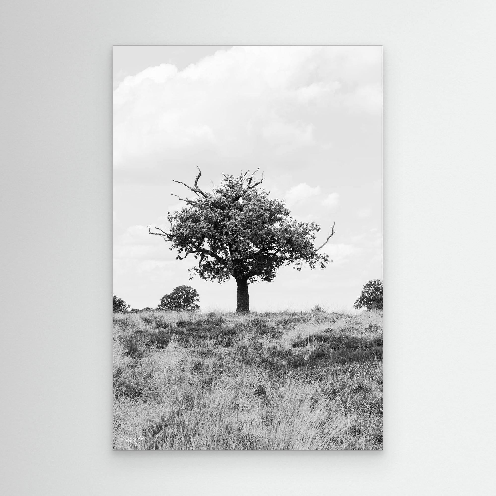 What doesn_t kill you