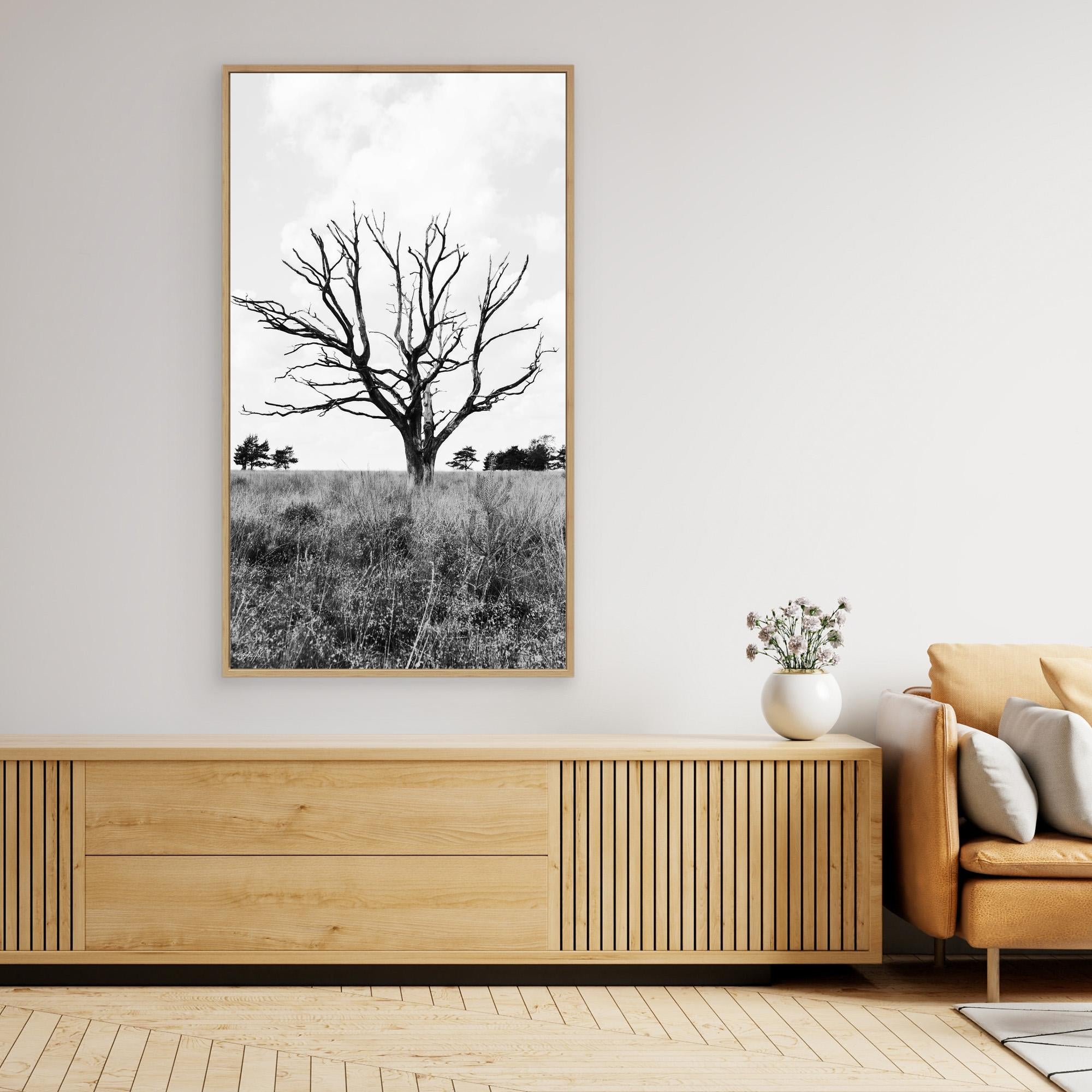 Resilient Intersection