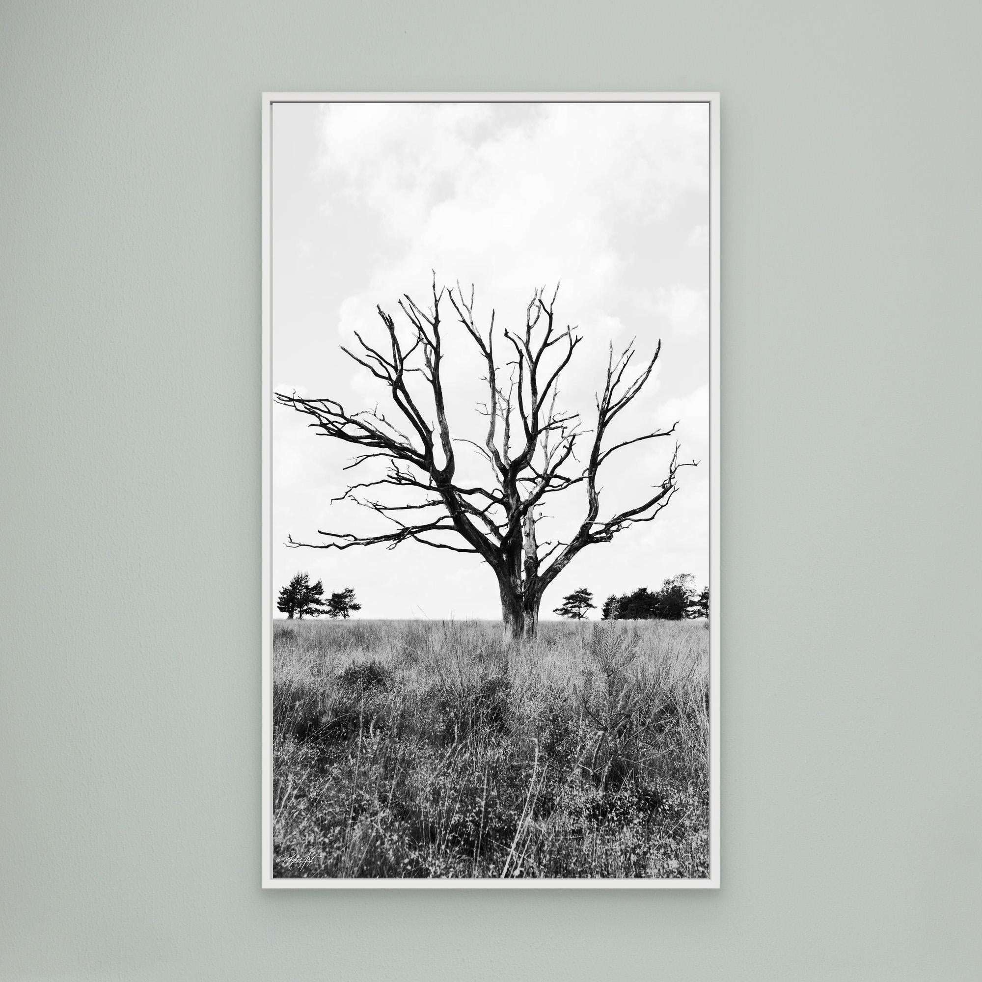 Resilient Intersection