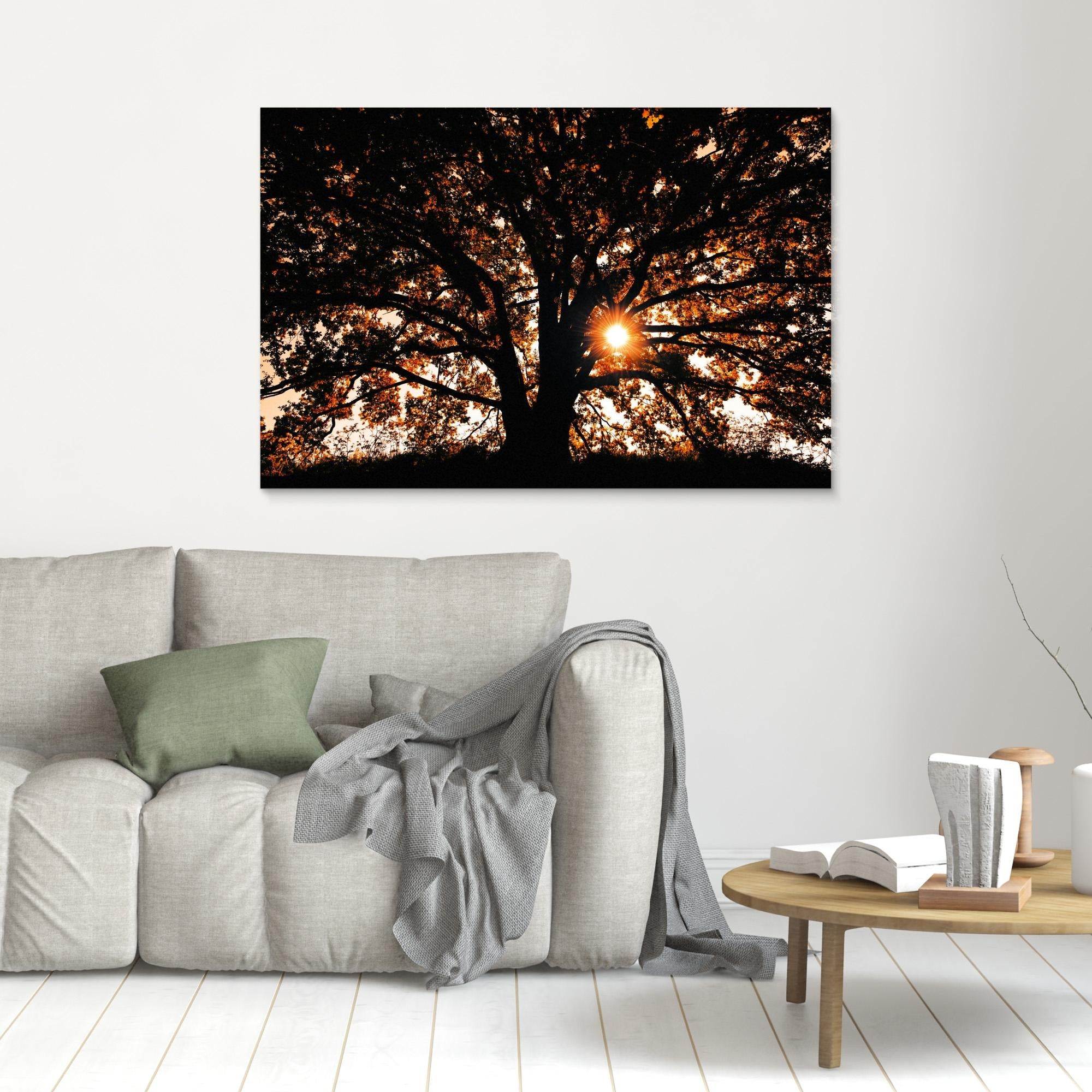 Def Roy Ensink Photography Tree3