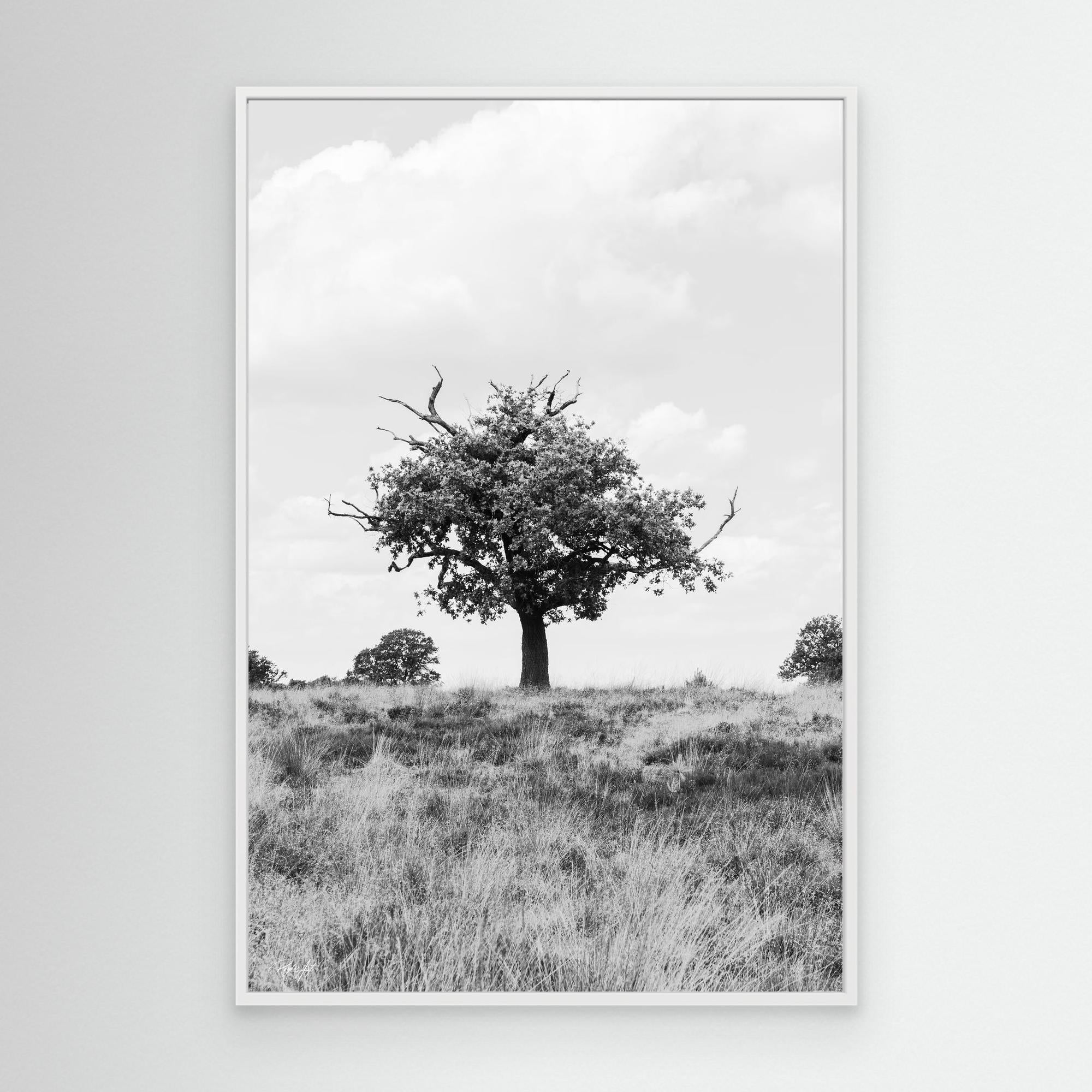 What doesn_t kill you