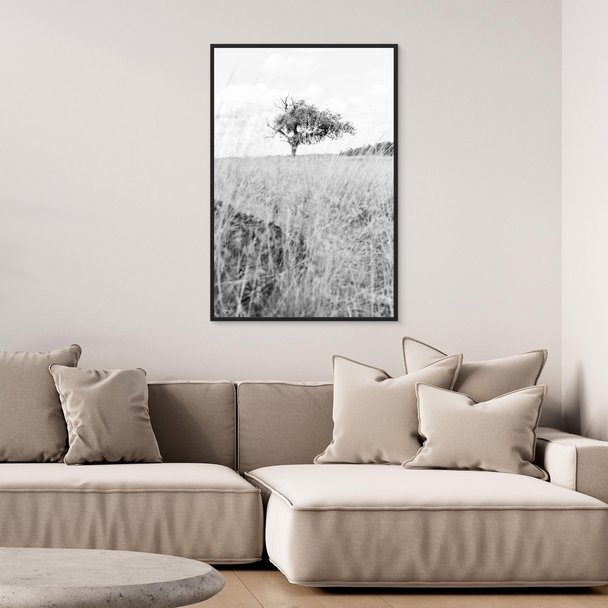 Memories Carved in Bark