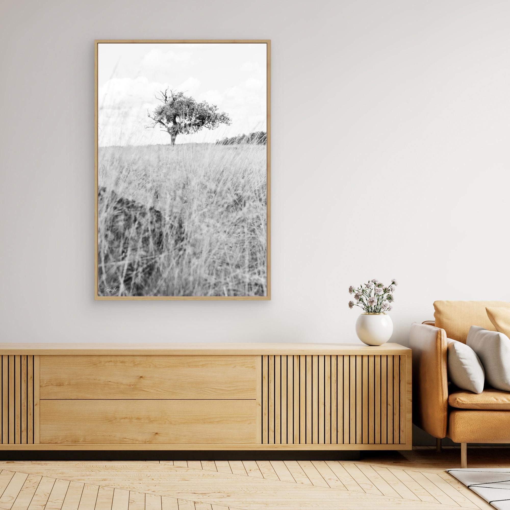 Memories Carved in Bark