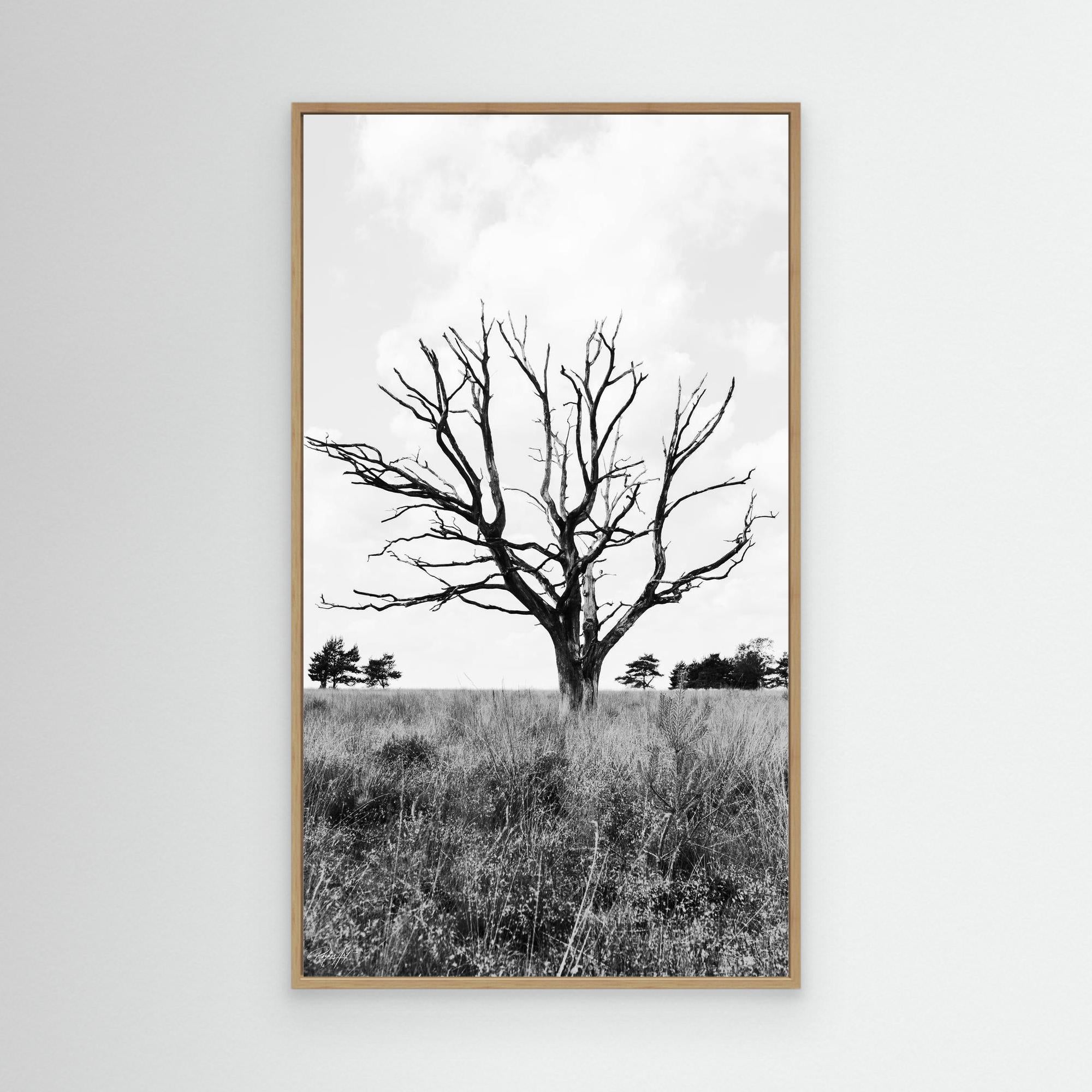 Resilient Intersection