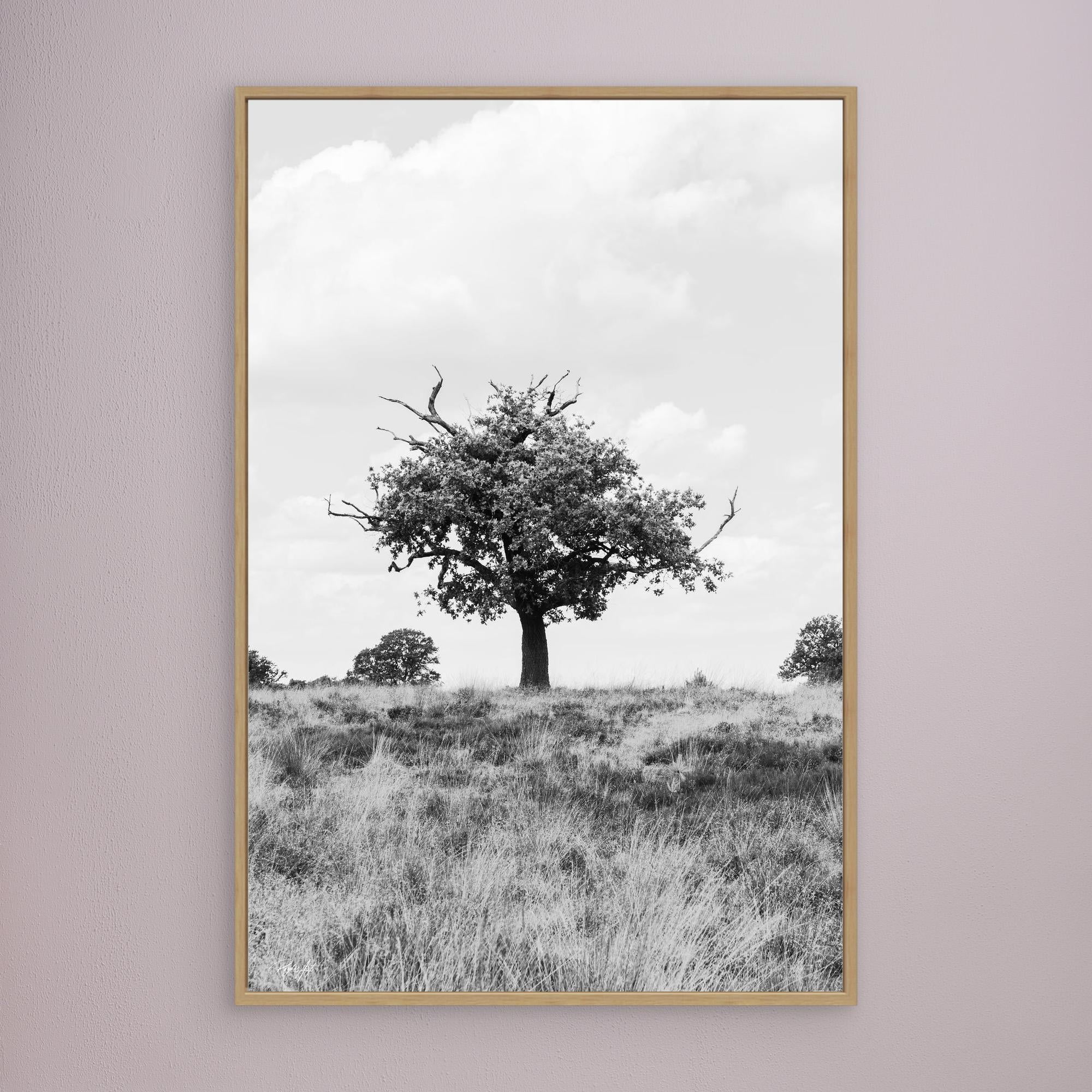 What doesn_t kill you