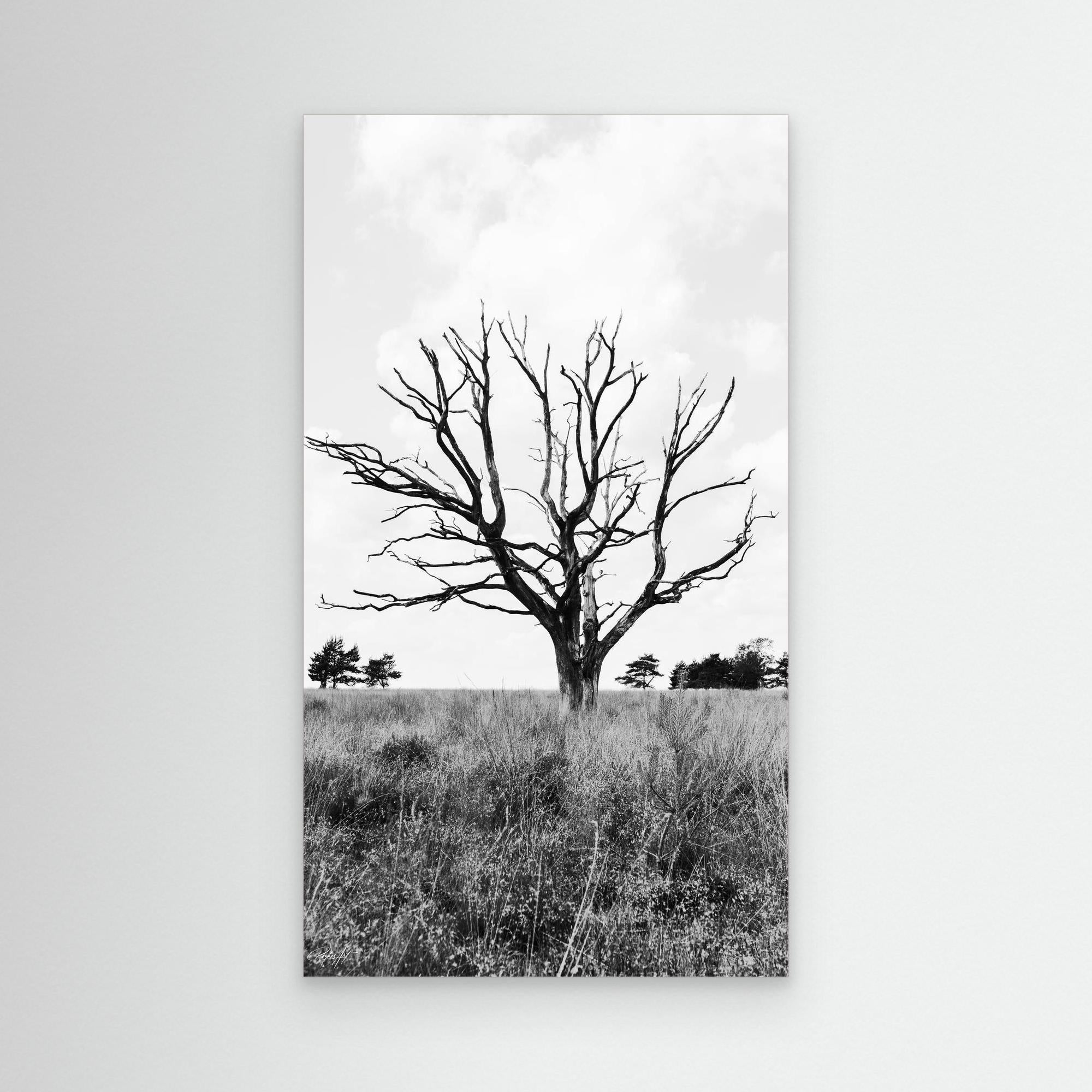 Resilient Intersection