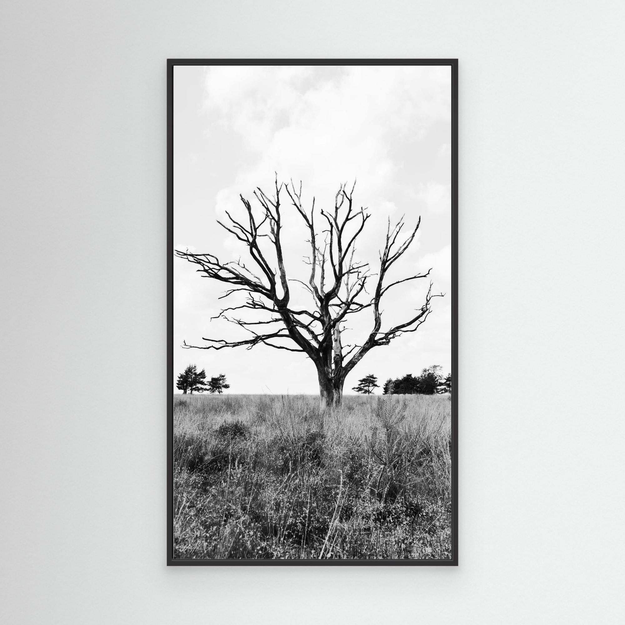 Resilient Intersection