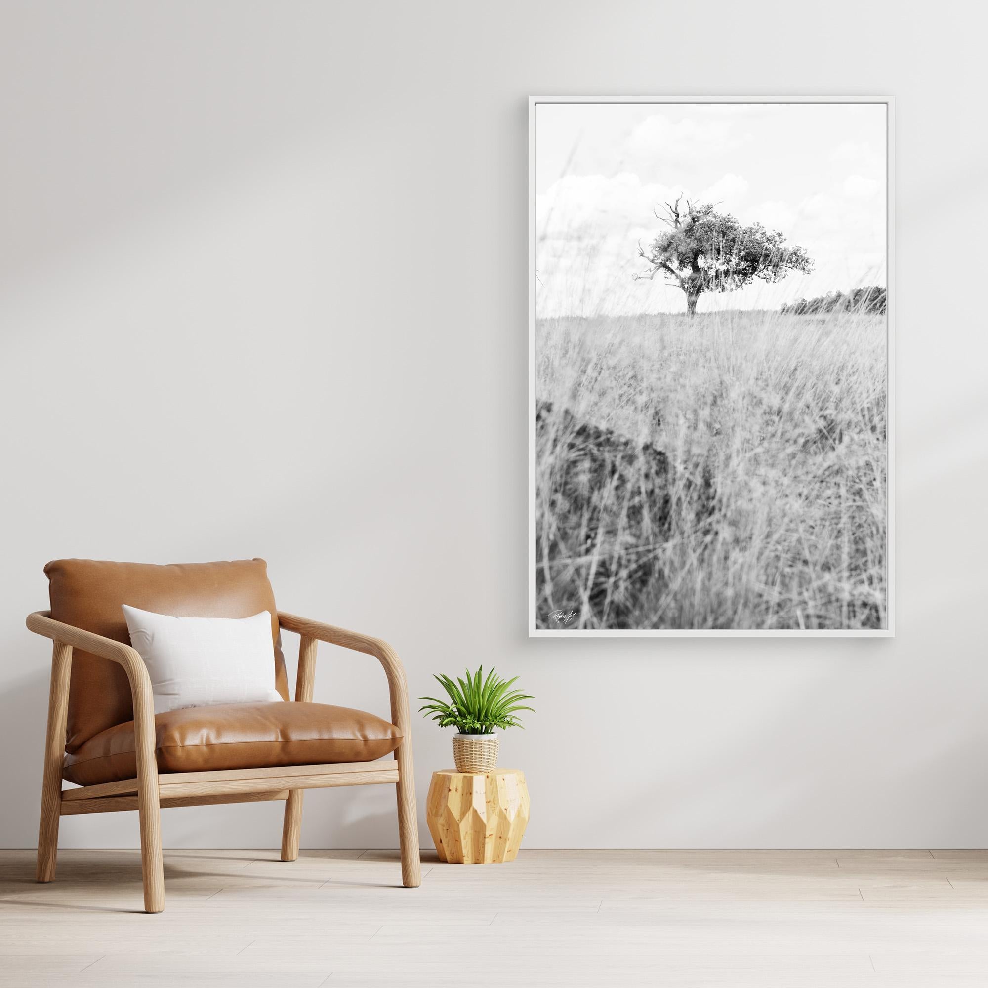 Memories Carved in Bark