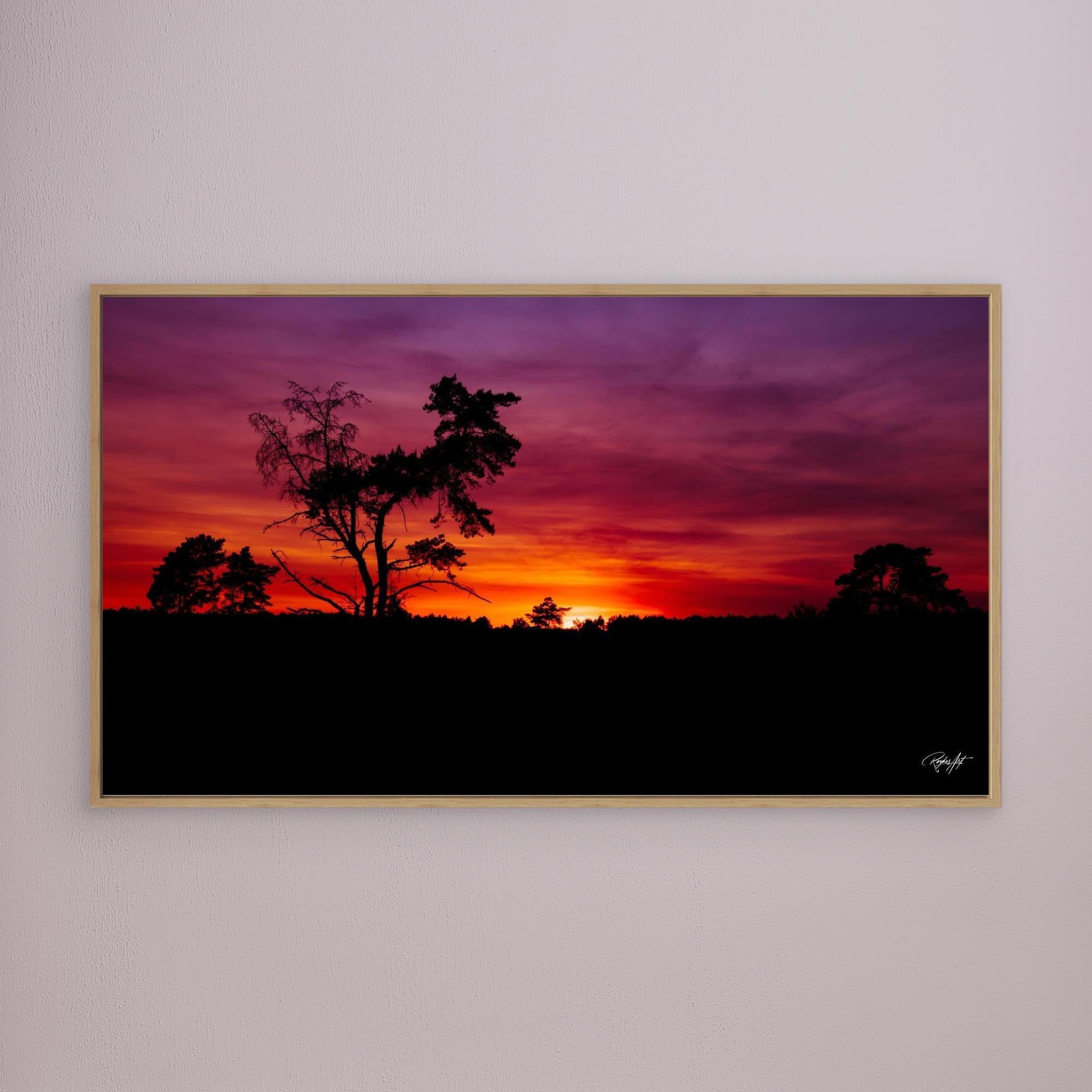 Sunset Silhouette Vibes