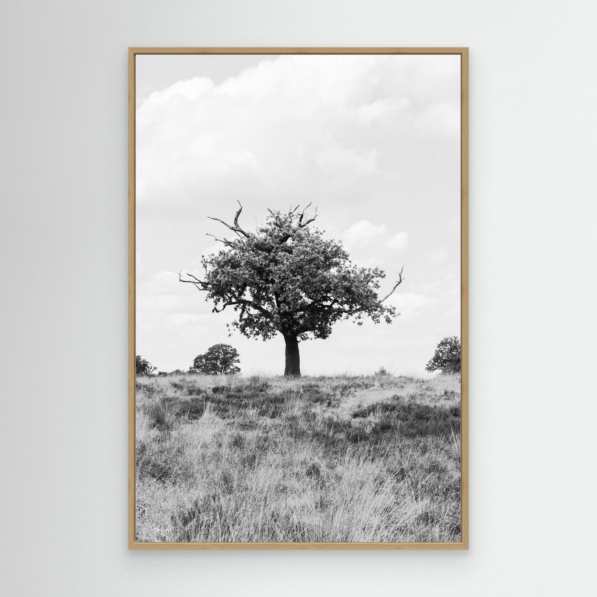 What doesn_t kill you