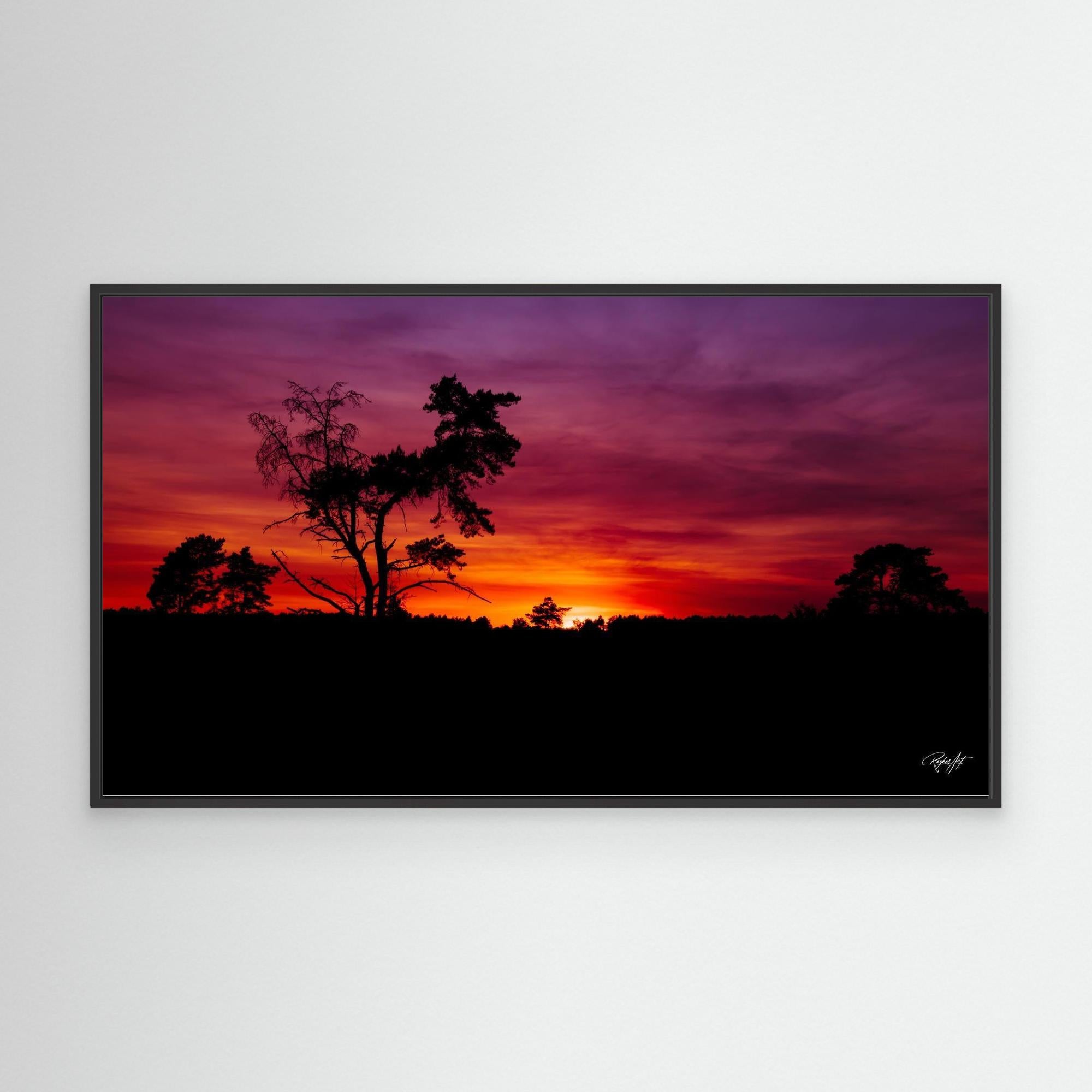 Sunset Silhouette Vibes