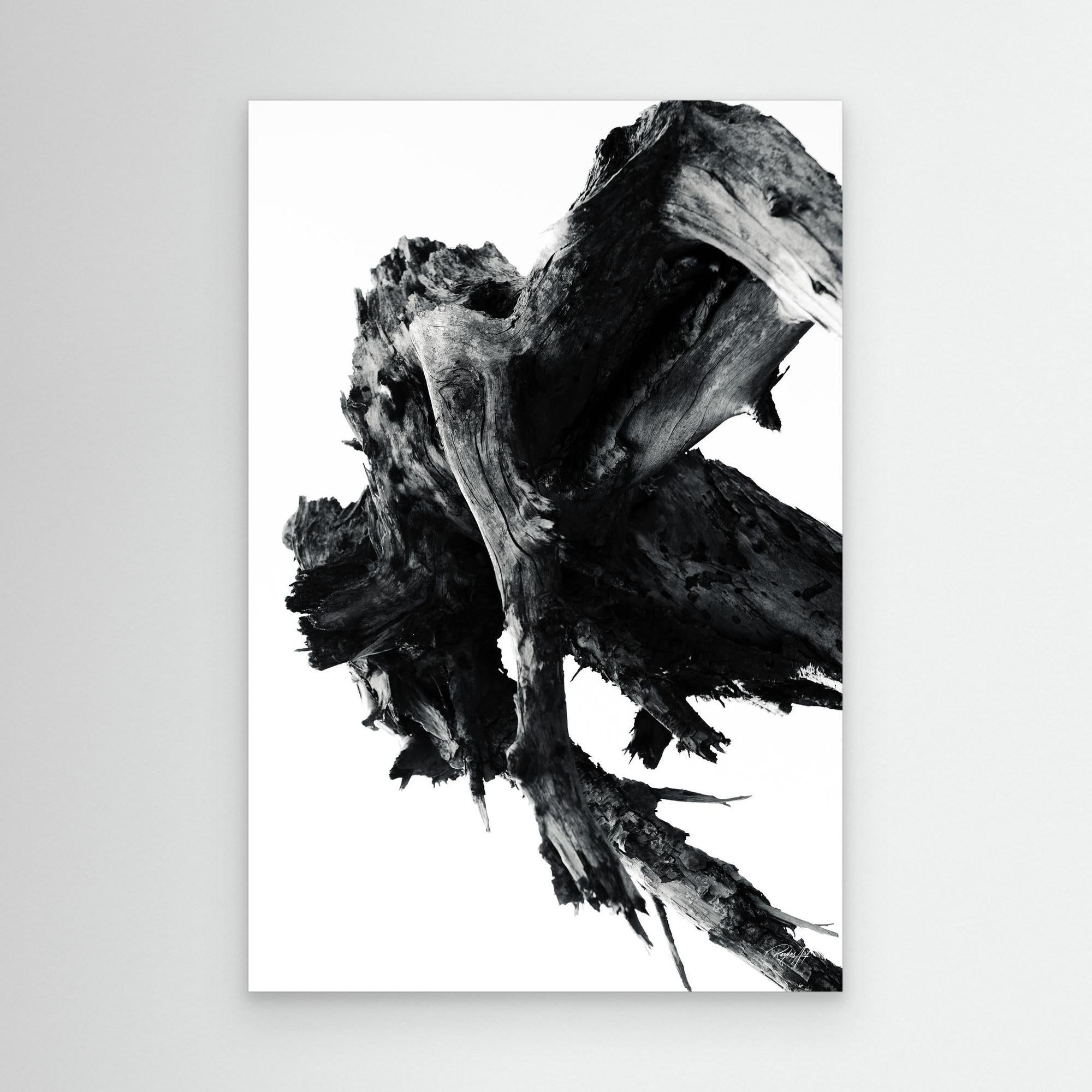 Abstract Nature